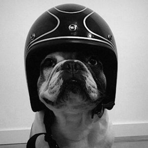 Burn, mascotte chez Leuk Motorcycle.