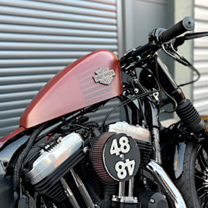 Une Harley-Davidson Sportster Forty-Eight 2018, à vendre chez Leuk Motorcycle.